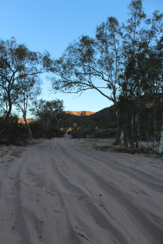 2019-Madigan-Line-Simpson-Desert-TRIP-1269.jpg