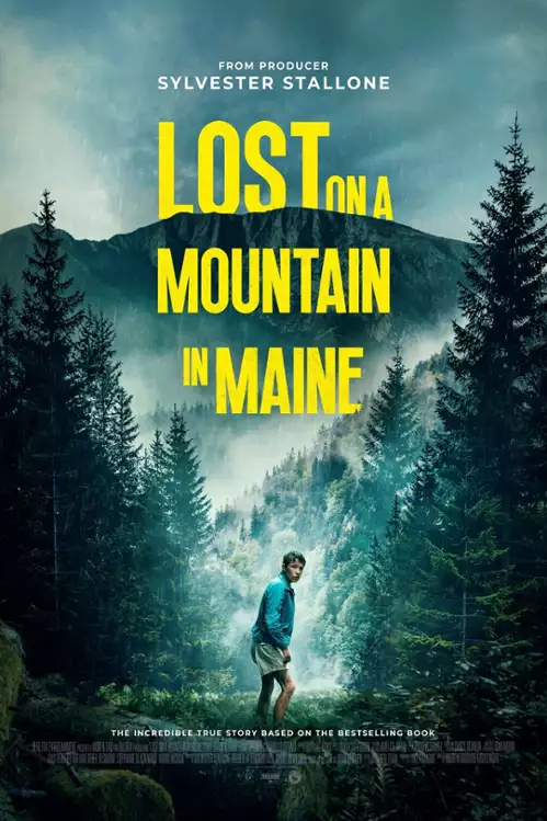 Pokonać górę / Lost on a Mountain in Maine (2024) PL.1080p.BDRip.XviD-MAXX / Lektor PL