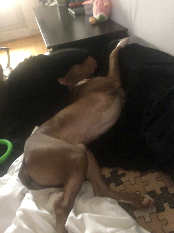 33045056-7043-41F1-939A-17782EC23E56