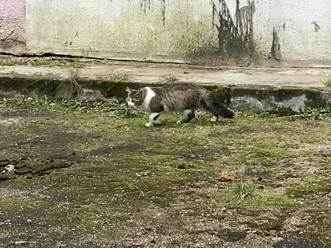 7C8B6F7E-AE2E-476B-BF0D-7876CFD521FF