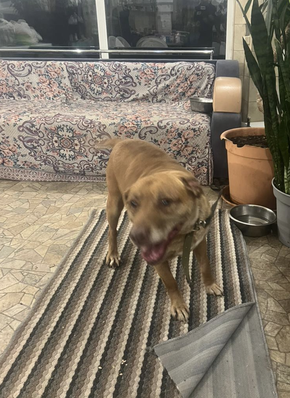 Снимок экрана 2024-05-06 в 14.18.34