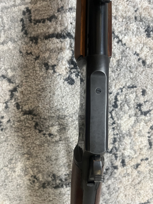 32ECFBE0-D553-4628-BBB5-A38503F403C8