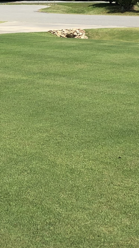 50663F30-930F-4B8D-9950-4F3A6F11FBA7