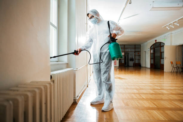 Bed bug control treatment