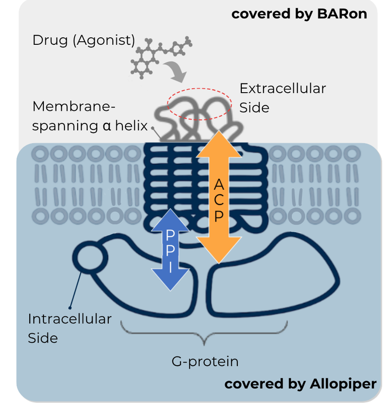 Atomatrix의 GPCR 신호전달 모델링 다이어그램
