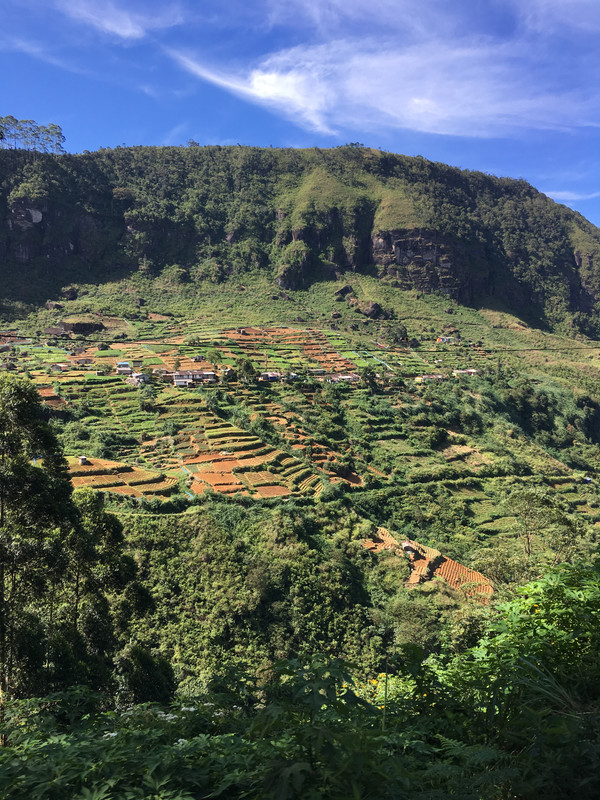 26 de diciembre - Nuwara Eliya - Navidad en Sri Lanka - Diciembre 2017 (1)