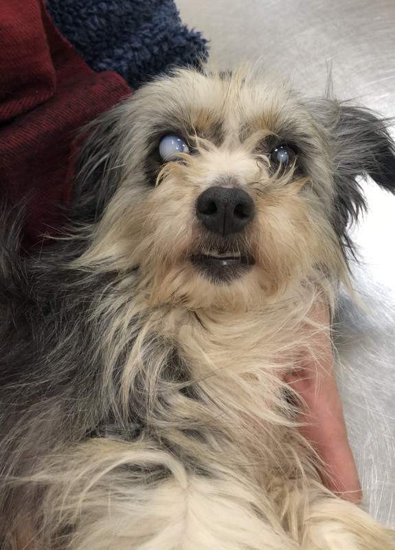 88E699C9-AB02-4A3C-8D29-BBF219A332C8