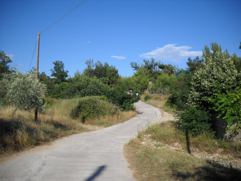 Slika