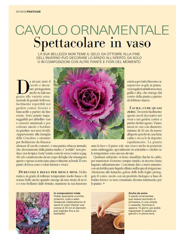 Il Mio Giar Ott-Nov 2024 (9)