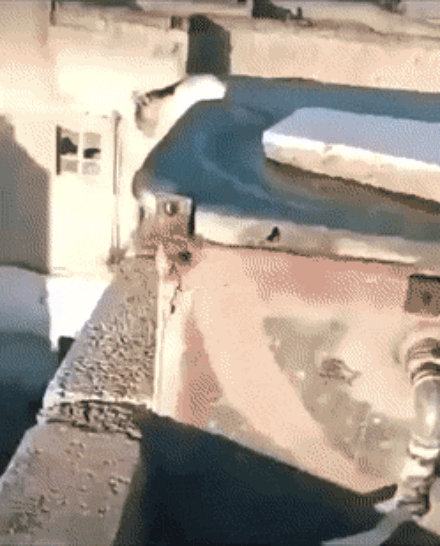 91.gif