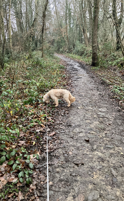 CAF239BF-08CA-4C09-8FE2-182B8D892C00