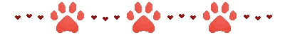 Paw-Divider-YCH-Salem-Shinigami-Verdugo.png