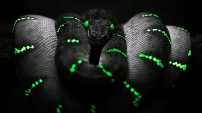 Fastest python 3 course for beginner