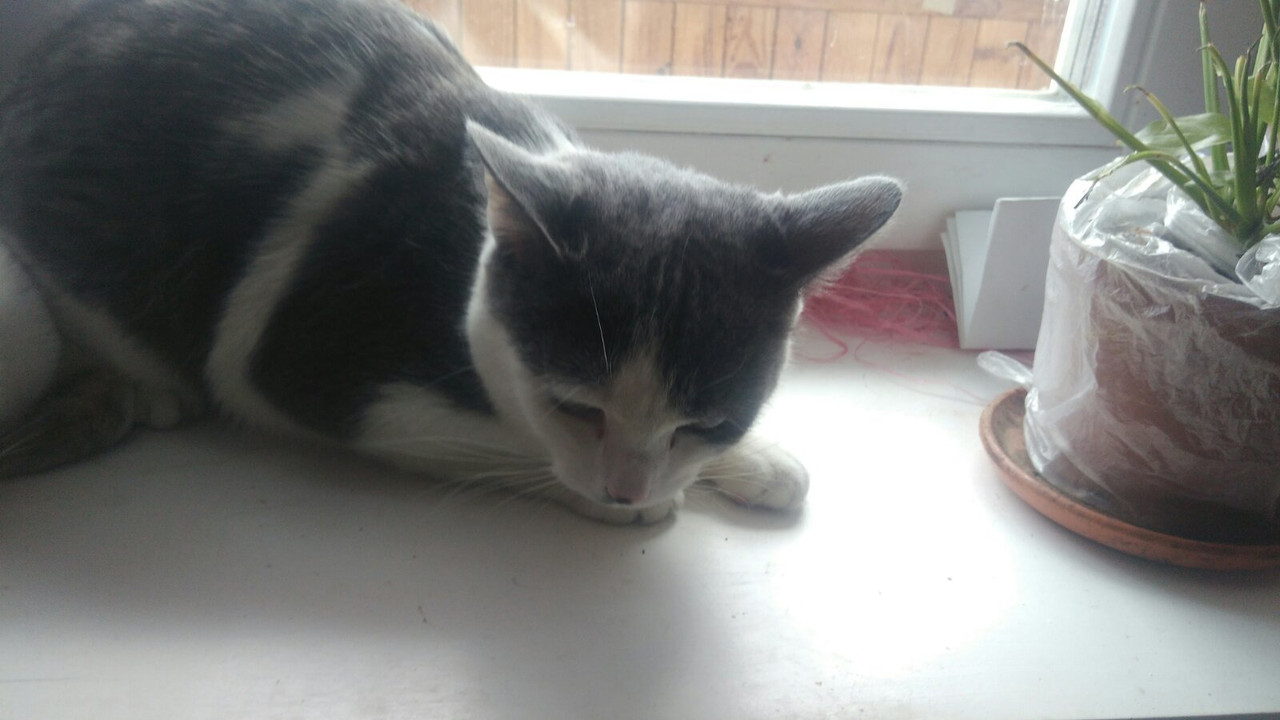 A01E2016-4804-43FF-A08C-9E21974327D4