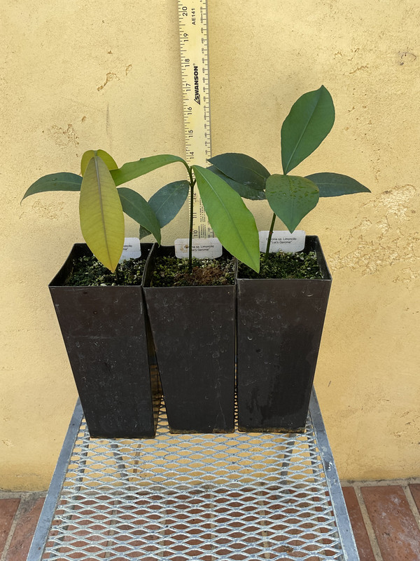 CD24EBD8-7F7A-4143-B8CF-CCB09D14980F