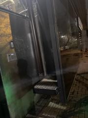 IMG 7167