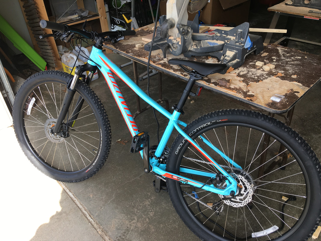 Entry level mountain sales bike 2019
