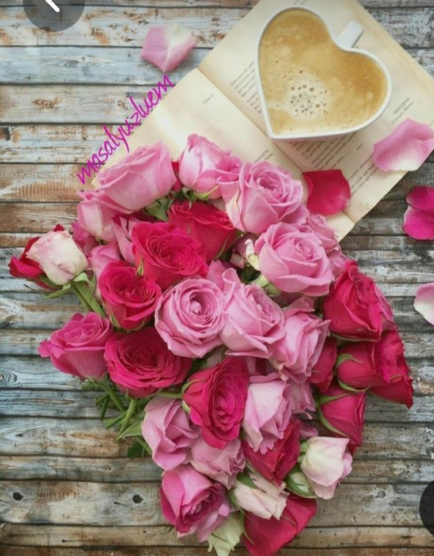 Screenshot_20230307_000801_Pinterest