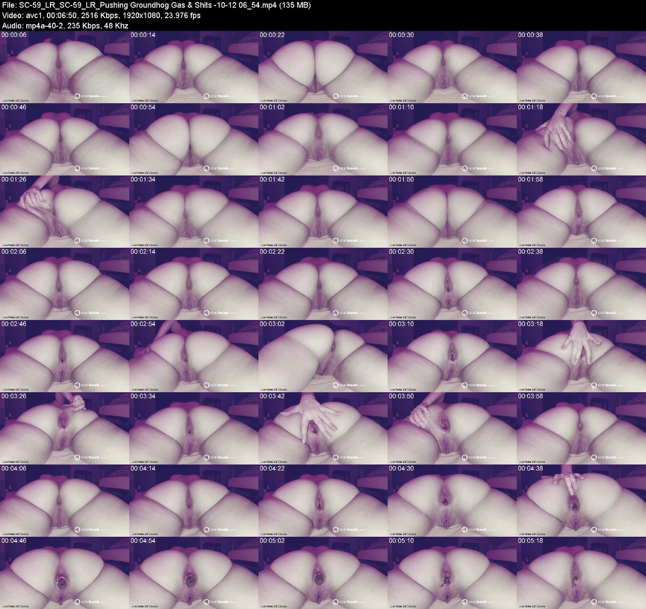 SC 59 LR SC 59 LR Pushing Groundhog Gas Shits 10 12 06 54