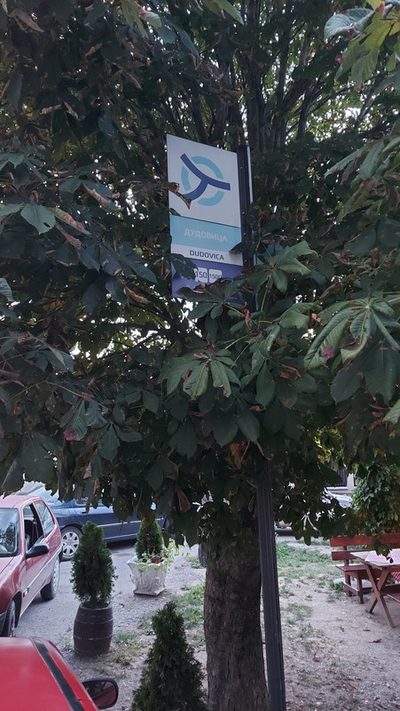 Dudovica2.jpg