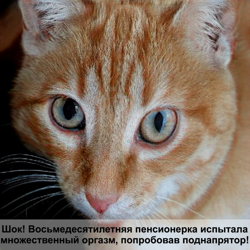 кошка кашляет от шерсти