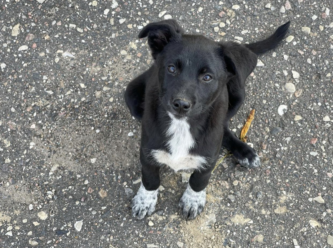 BF4A1AFD-0338-41FD-A6D5-58FE31C58201