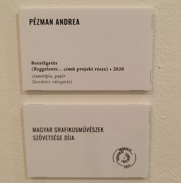 Kép