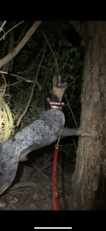 D42E7136-C345-4B32-B24E-DE8C05321940