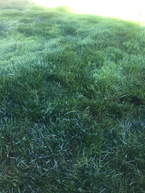 C295B7A8-B142-4FB0-9A07-882C8491C633