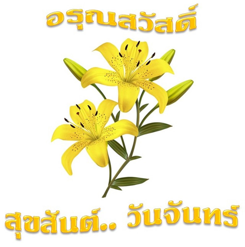 อรุณสวัสดิ์ วันจันทร์ 15