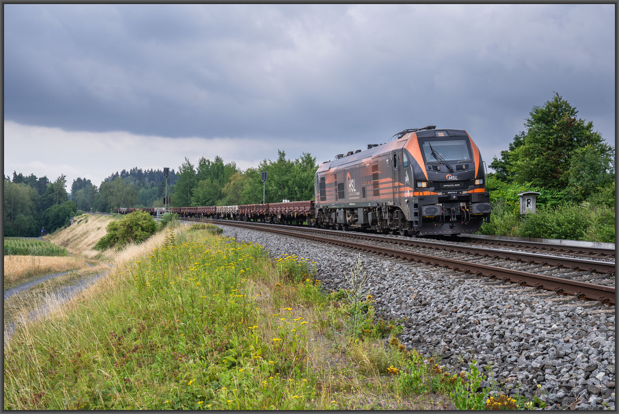 20260801 DSC1905