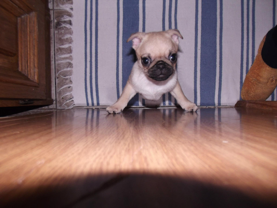 859316_10200163156176174_177406205_o (2)