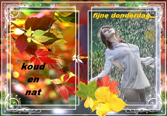 Klik op de afbeelding om de link te volgen