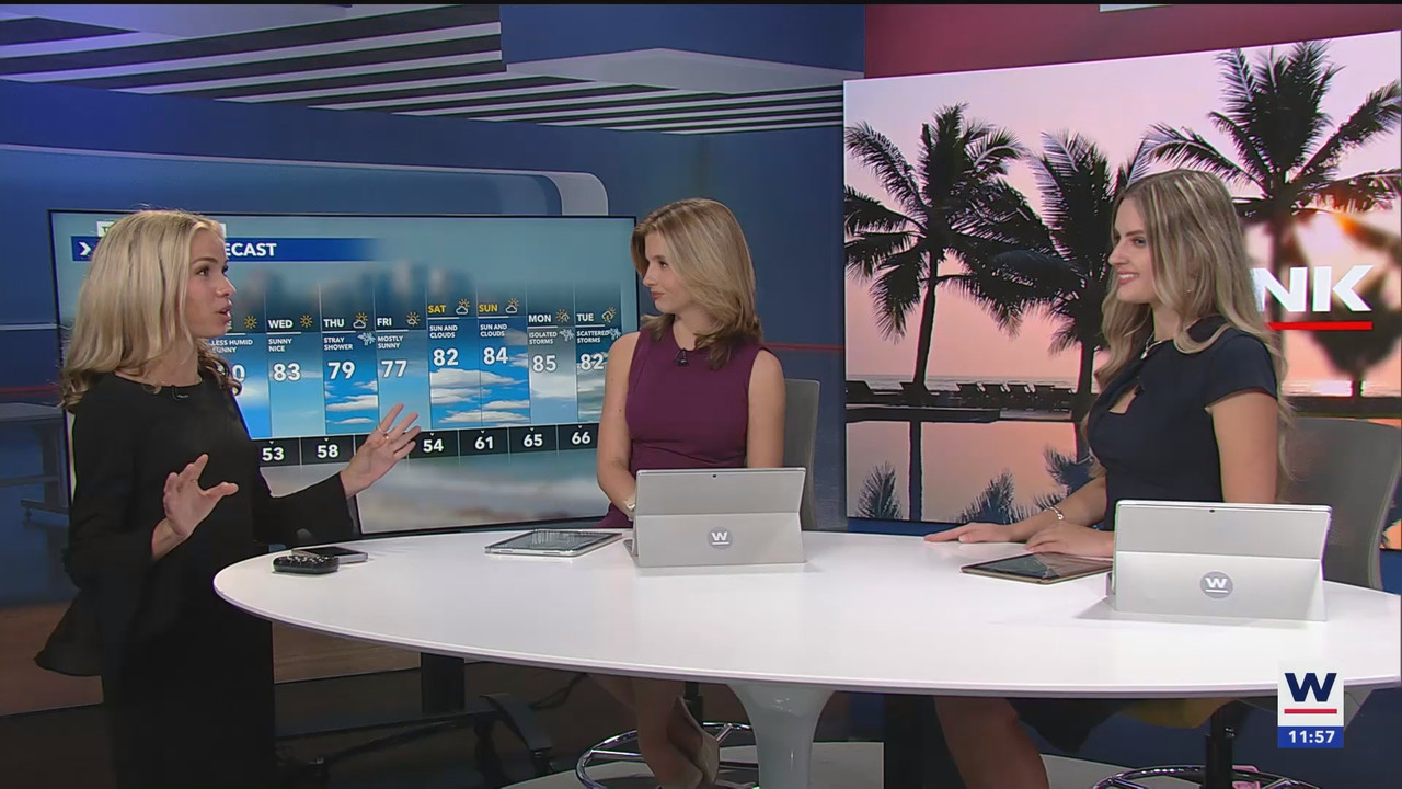 03.16 - 12.00.00 - WINK News at 8 00AM  ᴺᵉʷ. Breaking news and headli...(1).ts_snapshot_28.26.216