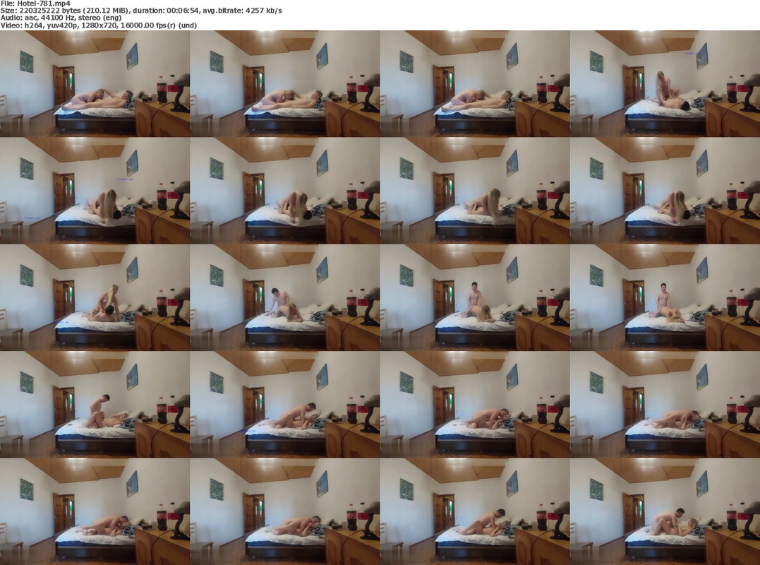 17072023130340screenshot