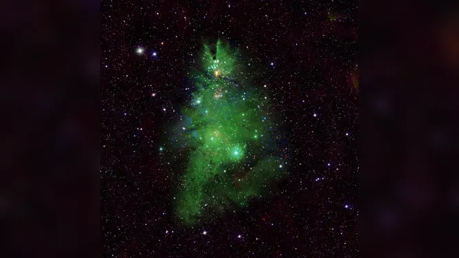 0000ngc2264.jpg