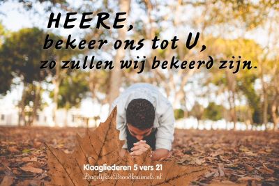 omkeren