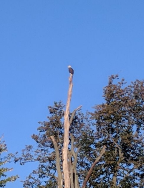20191013_132248