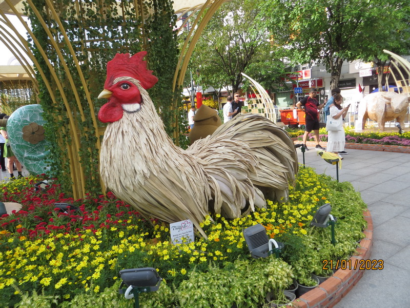 [Image: IMG_0785.jpg]