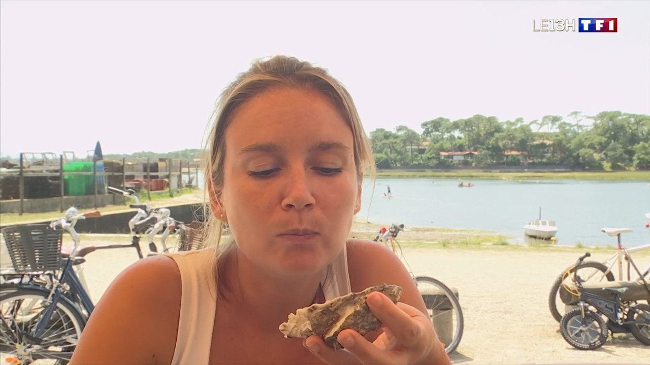 2021-08-09_13_00_TF1_Le-13h.mp4_snapshot_00.32.05.712