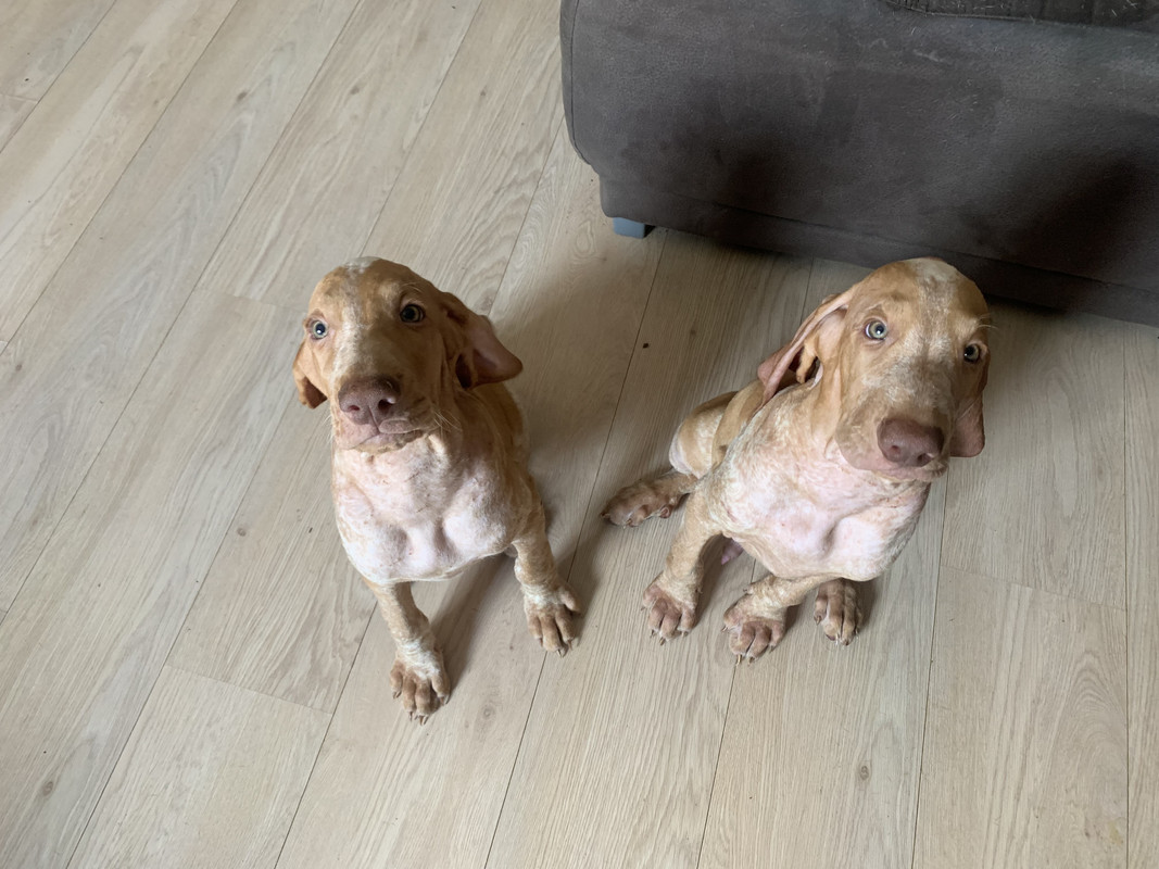 75D91A14-F029-4619-9BD2-507AC31572E2