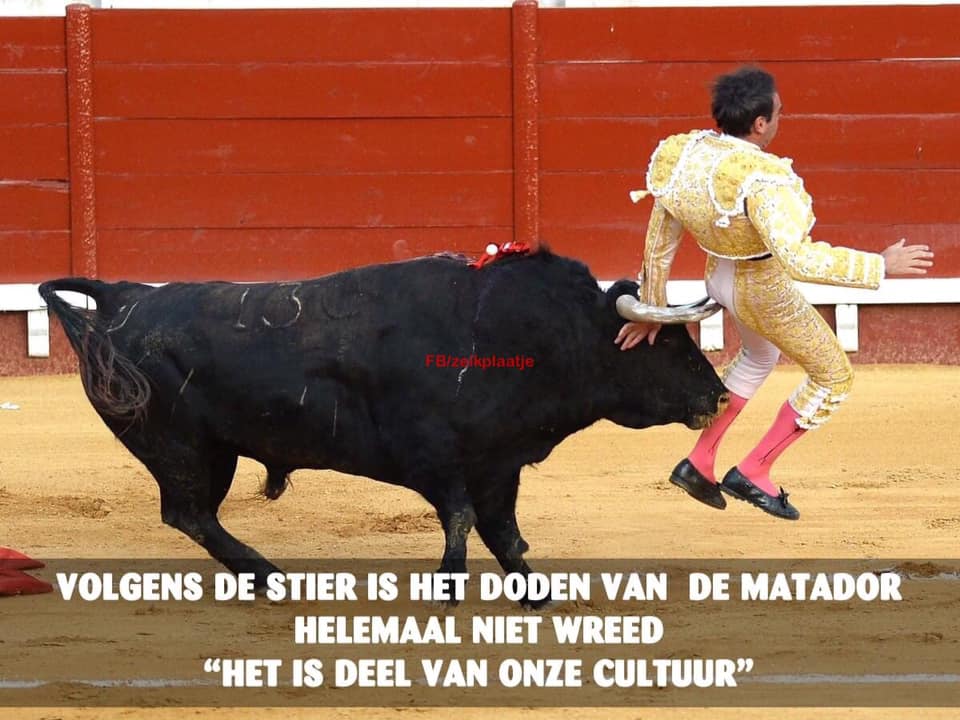 cultuur.jpg