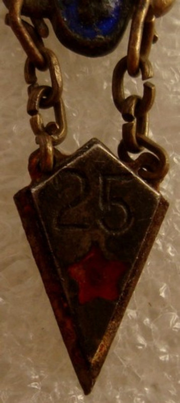 24156027 (1)