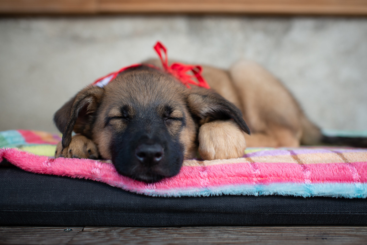 AF156440-5B4D-4910-B476-5DEFCD35A16B