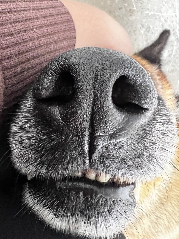 IMG-7e03edc24fdea0759de73aa7ff4fe3de-V