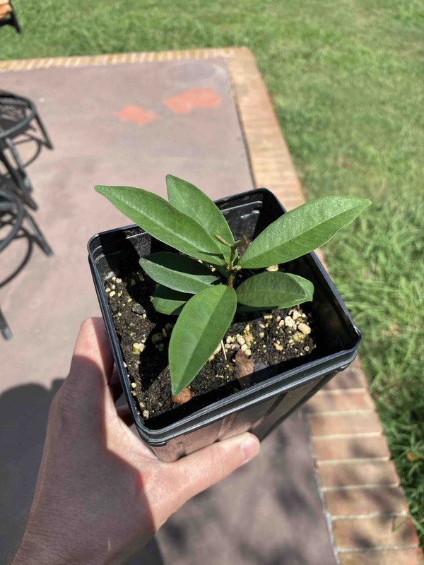 A83F1E7E-33FB-4843-96E9-C2890D73ADCB