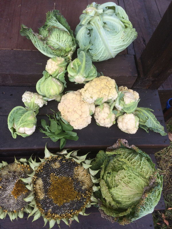 AB7EE84B-6BB6-48C6-A249-1AD32622AB0A