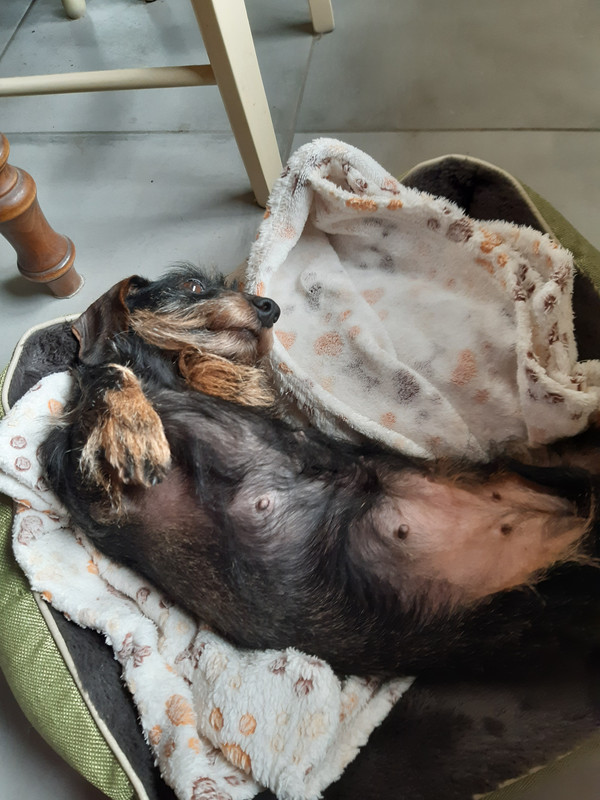 [Image: 20230103-120307.jpg]