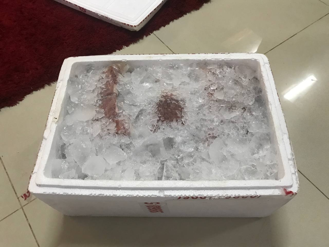 photo 2025 12 29 17 45 40