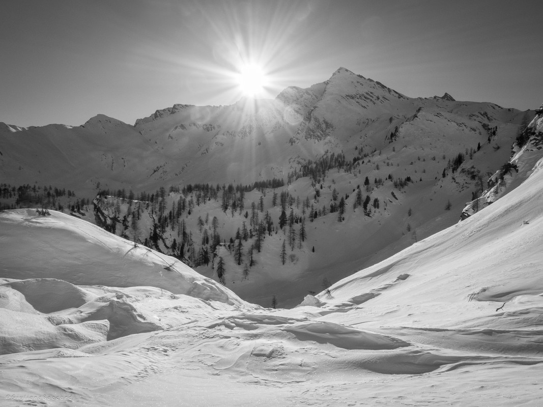 DSCF0664